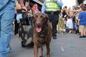 Mystic-Krewe-of-Barkus-2013-1295