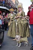 Mystic-Krewe-of-Barkus-2013-1298