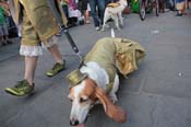 Mystic-Krewe-of-Barkus-2013-1299