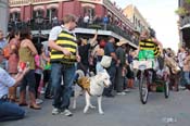 Mystic-Krewe-of-Barkus-2013-1300