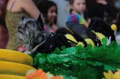 Mystic-Krewe-of-Barkus-2013-1303