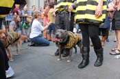 Mystic-Krewe-of-Barkus-2013-1307