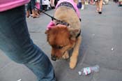 Mystic-Krewe-of-Barkus-2013-1318