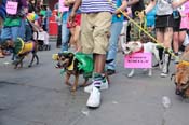 Mystic-Krewe-of-Barkus-2013-1329