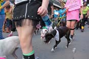 Mystic-Krewe-of-Barkus-2013-1332