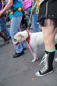 Mystic-Krewe-of-Barkus-2013-1333