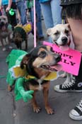 Mystic-Krewe-of-Barkus-2013-1336