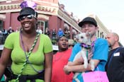 Mystic-Krewe-of-Barkus-2013-1337