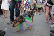 Mystic-Krewe-of-Barkus-2013-1340