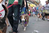 Mystic-Krewe-of-Barkus-2013-1341