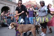 Mystic-Krewe-of-Barkus-2013-1343