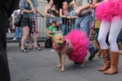 Mystic-Krewe-of-Barkus-2013-1354