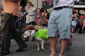 Mystic-Krewe-of-Barkus-2013-1359