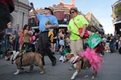 Mystic-Krewe-of-Barkus-2013-1362