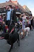 Mystic-Krewe-of-Barkus-2013-1367