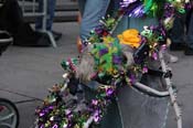 Mystic-Krewe-of-Barkus-2013-1379