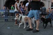 Mystic-Krewe-of-Barkus-2013-1389