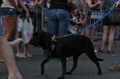 Mystic-Krewe-of-Barkus-2013-1390