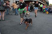 Mystic-Krewe-of-Barkus-2013-1399