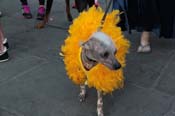 Mystic-Krewe-of-Barkus-2013-1402