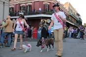 Mystic-Krewe-of-Barkus-2013-1406