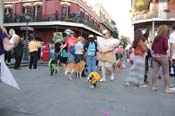 Mystic-Krewe-of-Barkus-2013-1410