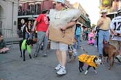 Mystic-Krewe-of-Barkus-2013-1411