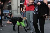 Mystic-Krewe-of-Barkus-2013-1412