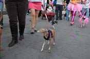 Mystic-Krewe-of-Barkus-2013-1413