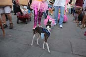 Mystic-Krewe-of-Barkus-2013-1415