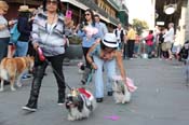 Mystic-Krewe-of-Barkus-2013-1420