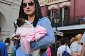 Mystic-Krewe-of-Barkus-2013-1421