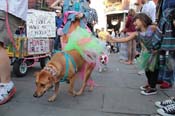 Mystic-Krewe-of-Barkus-2013-1433