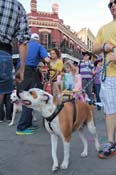 Mystic-Krewe-of-Barkus-2013-1436