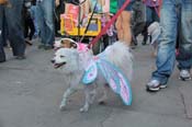 Mystic-Krewe-of-Barkus-2013-1437