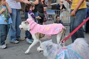 Mystic-Krewe-of-Barkus-2013-1438