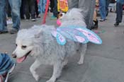 Mystic-Krewe-of-Barkus-2013-1439