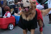 Mystic-Krewe-of-Barkus-2013-1447