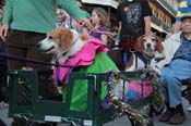 Mystic-Krewe-of-Barkus-2013-1448