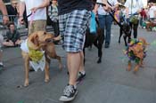 Mystic-Krewe-of-Barkus-2013-1457