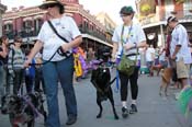 Mystic-Krewe-of-Barkus-2013-1458