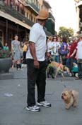 Mystic-Krewe-of-Barkus-2013-1463