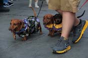 Mystic-Krewe-of-Barkus-2013-1467