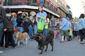 Mystic-Krewe-of-Barkus-2013-1483