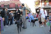 Mystic-Krewe-of-Barkus-2013-1487