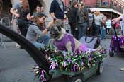 Mystic-Krewe-of-Barkus-2013-1494