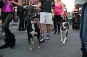 Mystic-Krewe-of-Barkus-2013-1499