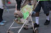 Mystic-Krewe-of-Barkus-2013-1500