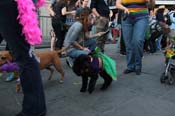 Mystic-Krewe-of-Barkus-2013-1504