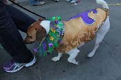 Mystic-Krewe-of-Barkus-2013-1505